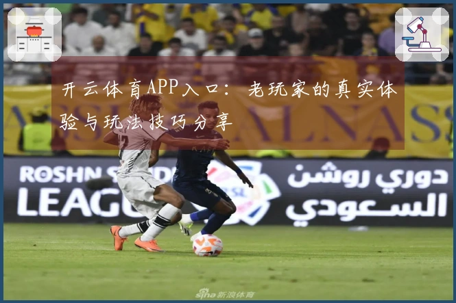 开云体育APP入口：老玩家的真实体验与玩法技巧分享
