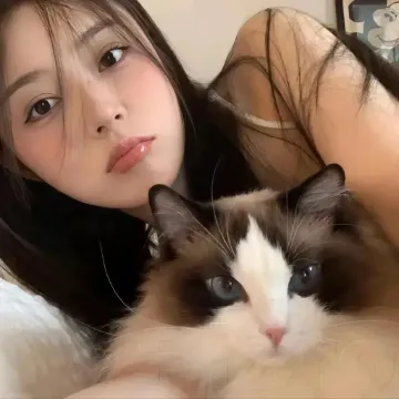 晴天